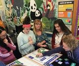 VT PEERS: Bees Breakout Boxes VT PEERS: Bees Breakout Boxes