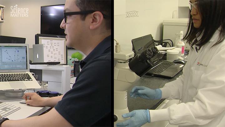 Hot Jobs: Bioscience and Drug Discovery with “Organs on a Bench”