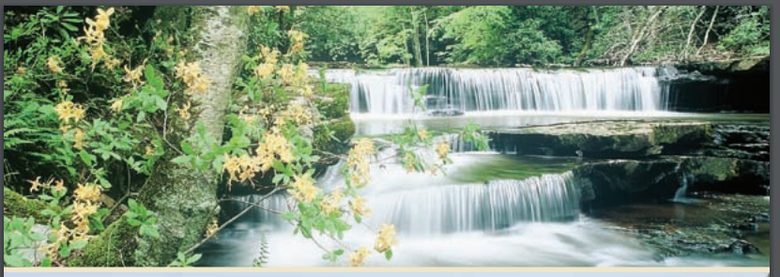 Chesapeake Watershed and Ecosystems