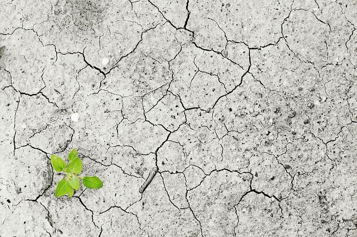Water Scarcity- Change the Course
